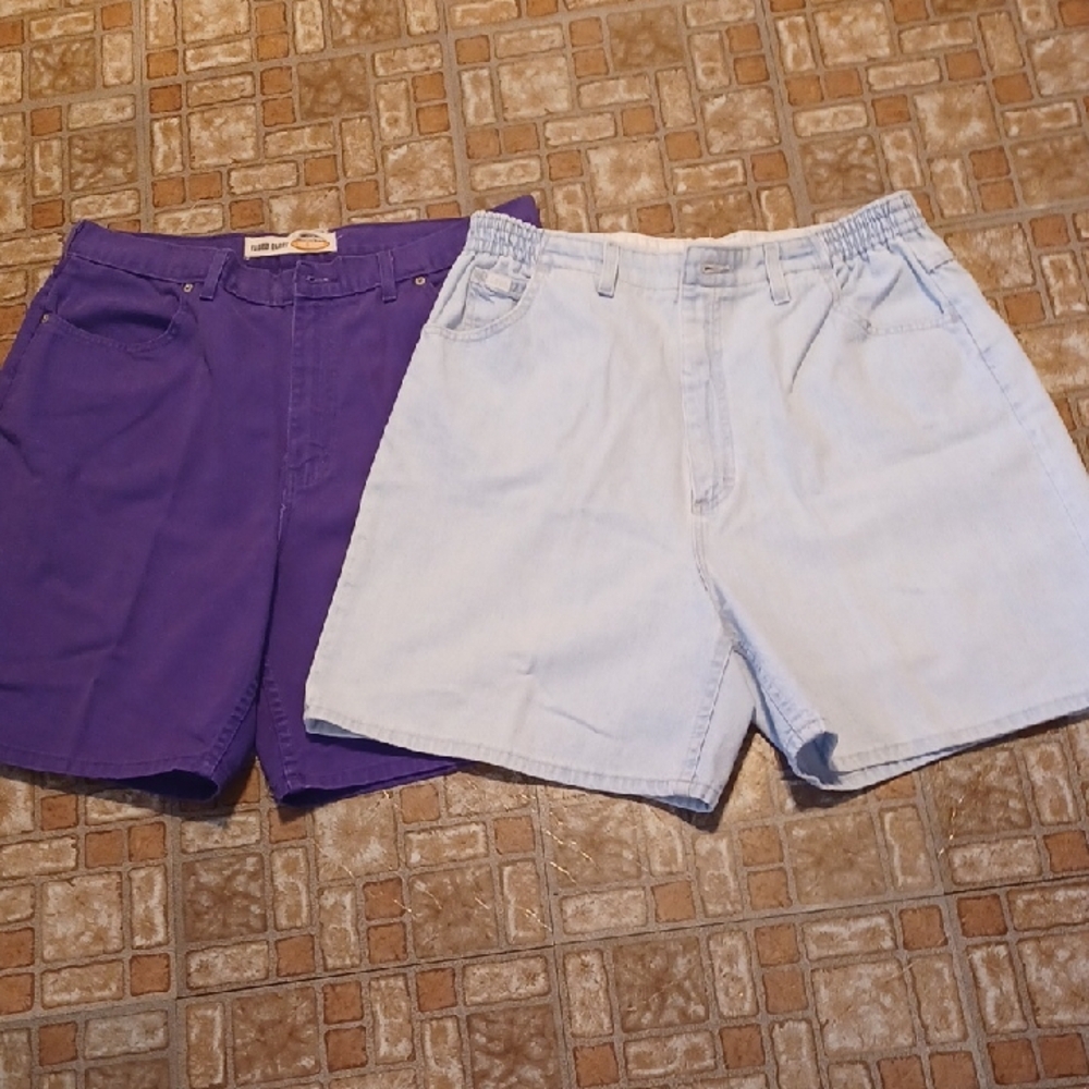 Purple and Light Blue Shorts Women's Size 18
